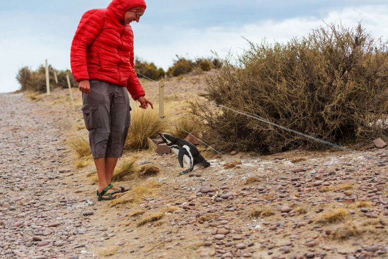 Un’incredibile storia d’amore tra un uomo e un pinguino