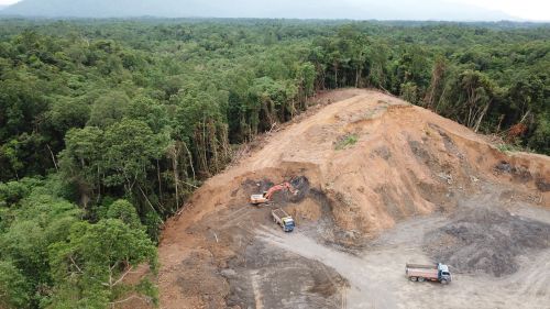 Deforestazione e Forestazione