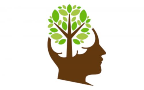 L'Intelligenza delle Piante
